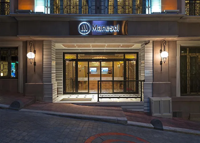 Manesol Boutique Galata Hotel Istanboel